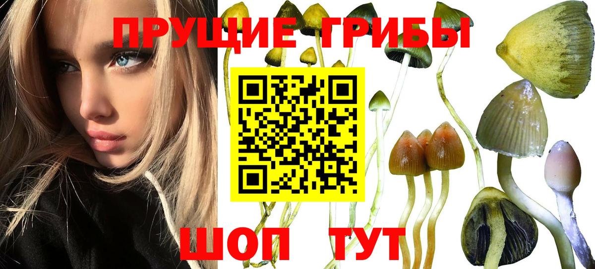 Псилоцибиновые грибы ЛСД Назрань