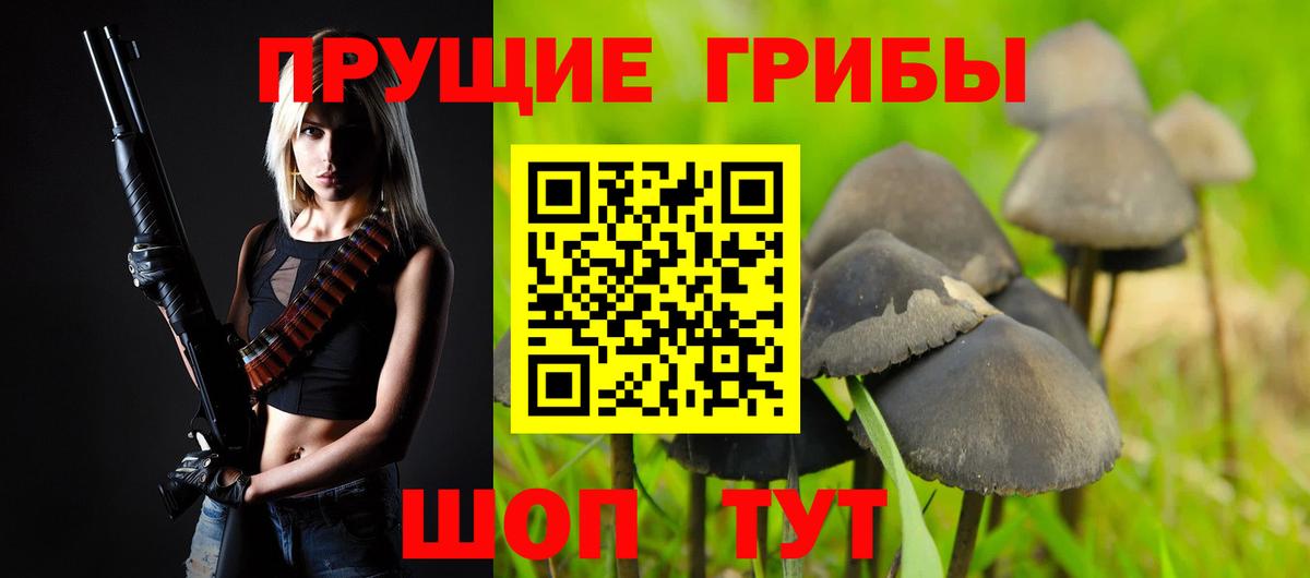 Назрань  Галлюциногенные грибы Magic Shrooms  Вход с VPN 
